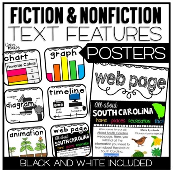Preview of Fiction and Nonfiction Text Features Posters