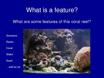 Text Features Powerpoint by Emily Kissner | Teachers Pay Teachers