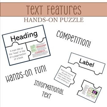 Preview of Text Features Puzzle & Sort