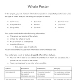 Text Features Whale Project (Lizzie Bright Nonfiction Connection)