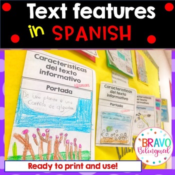 Text Features Chart Pdf