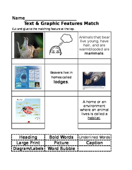 Preview of Text & Graphic Features Match