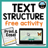 FREE Informational Text Structure Worksheet Activity One Pager