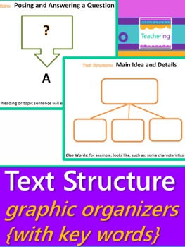 Preview of Text Structure Graphic Organizers (Work Mats or Posters)