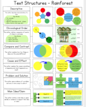 Preview of Text Structure - Rainforest (English and Spanish)