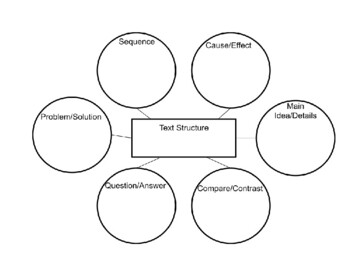 Text Structures Graphic Organizer by Kali Myers | TpT