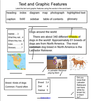 Text and Graphic Features Smart Board Activity by Sissy's School House