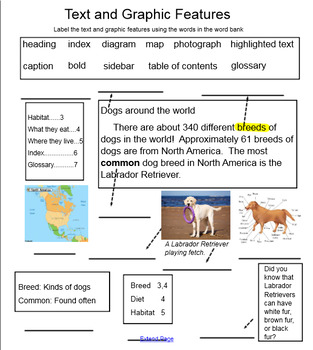 Preview of Text and Graphic Features Smart Board Activity