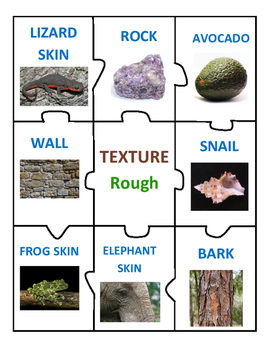 Hard And Soft Texture Worksheets Teaching Resources Tpt