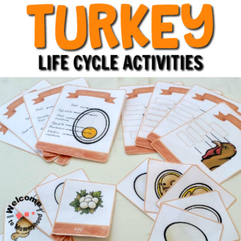 Preview of Thanksgiving Activities: Turkey life cycle printables