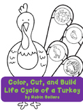 Thanksgiving Activity {turkey life cycle}