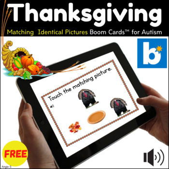 Preview of Thanksgiving BOOM CARDS™ | Identical Matching Activity for Autism