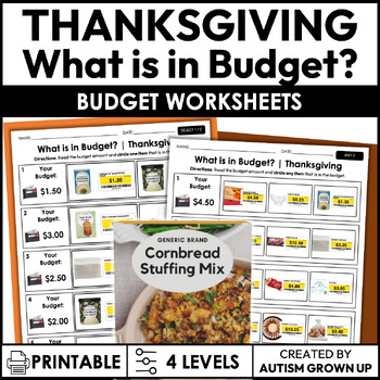 Preview of Thanksgiving Budget | Life Skills Worksheets for Special Education