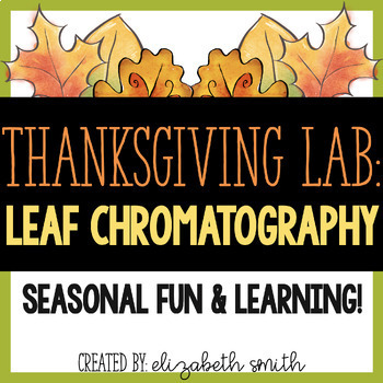 Preview of Thanksgiving Chromatography Lab Leaf Pigment Lab Activity