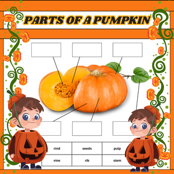 Preview of Thanksgiving Color And Greyscale Pumpkin Parts For Speech Worksheet
