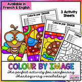 Thanksgiving Colour by Code | Vocabulary Images | Coloriag