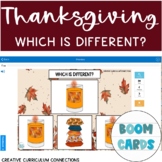Thanksgiving & Fall Themed Identifying A Different Image B