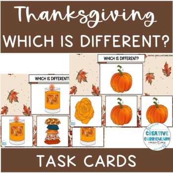 Preview of Thanksgiving & Fall Themed Identifying A Different Image Task Cards 2