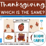 Thanksgiving & Fall Themed Identifying A Same/Identical Im