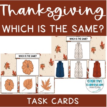 Preview of Thanksgiving & Fall Themed Identifying A Same/Identical Image Task Cards