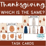 Thanksgiving & Fall Themed Identifying A Same/Identical Im