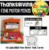 Thanksgiving Fine Motor Minis