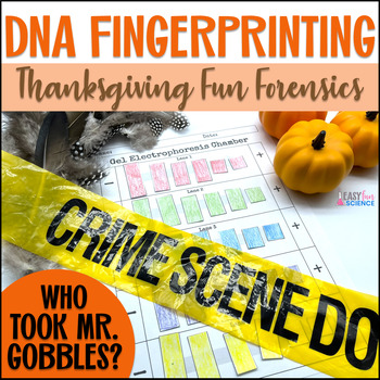 Preview of Thanksgiving Forensics CSI DNA Extraction & Fingerprinting Gel Electrophoresis