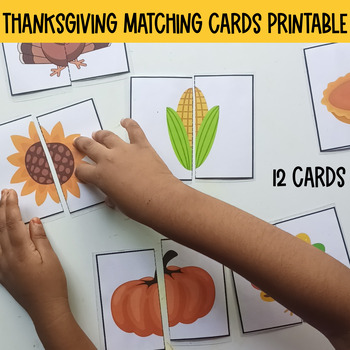 Preview of Thanksgiving Matching Activity Cards for Preschool,Homeschool Activity,Fall
