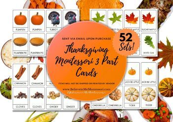 Preview of Thanksgiving Montessori 3 Part Cards