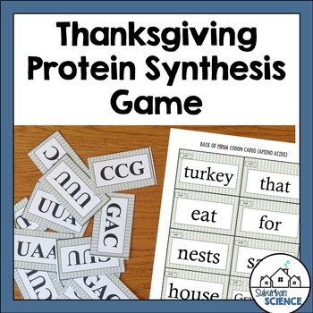 Thanksgiving Protein Synthesis Activity By Suburban Science Tpt