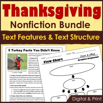 Preview of Thanksgiving Reading Comprehension Bundle - Printable & Digital