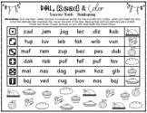 Thanksgiving Roll, Read & Color Reading Game (Nonsense & S