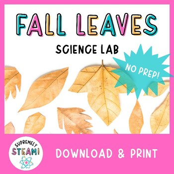 Preview of Thanksgiving STEM / STEAM Activity - Fall Leaves Science Lab!