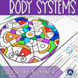 Thanksgiving Science Color by Number: Body Systems