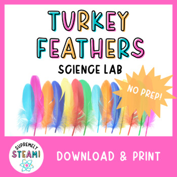 Preview of Thanksgiving Science STEM / STEAM Activity - Turkey Feathers Science Lab!