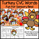 Thanksgiving Turkey CVC Words Center