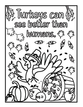 Preview of Thanksgiving Turkey Coloring Sheets | Turkey Coloring Sheets With Fun Facts
