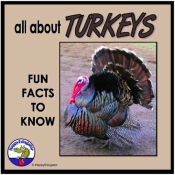 Preview of Thanksgiving Turkey PowerPoint - Fun Facts and Information All About Turkeys