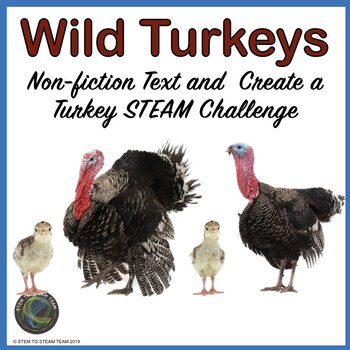 Preview of Thanksgiving Turkeys Nonfiction Text and STEM Challenge