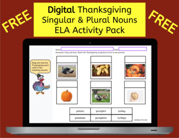 Preview of Thanksgiving Vocabulary Singular & Plural Nouns + Google Slides™ FREE