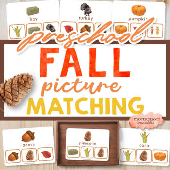 Preview of Thanksgiving and Fall Picture Matching Clip Cards Preschool Printable