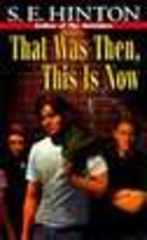 Preview of That Was Then This is Now by SE Hinton Activity Bundle -Common Core Aligned