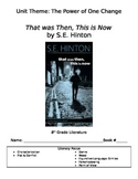 That was Then, This is Now by S.E. Hinton novel packet