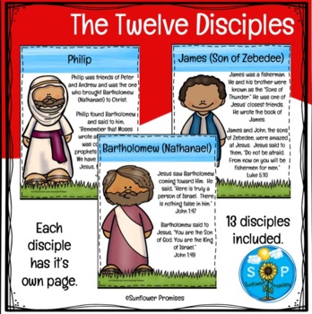 Preview of The 12 Disciples Bible Character Summary Cards