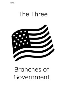 Preview of The 3 Branches of Government Packet