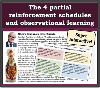 Preview of The 4 partial reinforcement schedules and observational learning