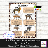 The 5 Big Cats Reference Poster: Location, Habitat, and In