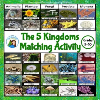 Preview of The 5 Kingdoms Matching Activity