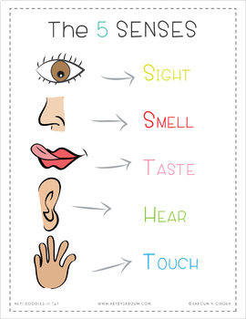 The 5 Senses Flash Cards + Poster by Saroum V Giroux - Doodle Thinks