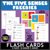 The 5 Senses Flash Cards and Poster FREEBIE
